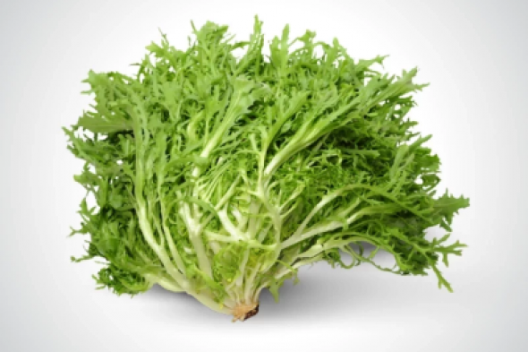 "مكون طبيعي ذو رائحة قوية ومزعجة"... يُحسن الجهاز الهضمي ويُنظم الكولسترول ويخلصك من امراض الرئتين!!