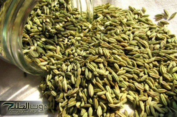 " هذا سر رشاقتي وجمالي " نادين نسيب تكشف عن عشبة سحرية موجودة في كل بيت.. تذيب دهون الكرش العنيدة؟ وصفة مضمونة 100%