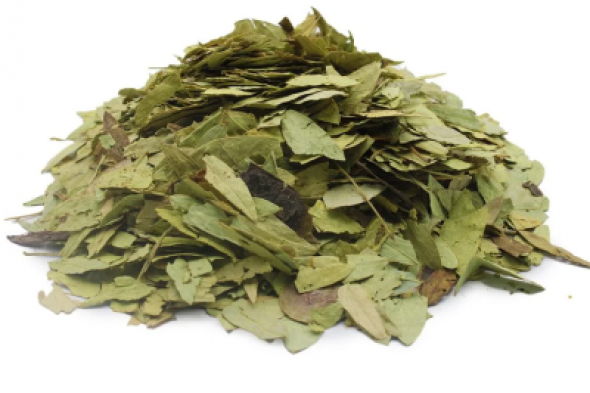 "هيخفف كل أوجاعك"..عشبة ربانية تنظف القولون وتتخلص من البراز المتحجر في دقائق..ودع الأدوية للأبد!!