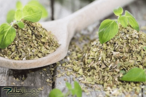 “معجزة ربانية لايصدقها عقل” .. نبتة سحرية تساوي تقلها دهب بسبب فوائدها اللي مستحيل تخطر ببالك .. مفعولها جبار وأسرع من البرق !!!