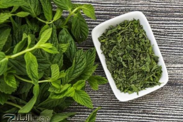 "نعناع ناشف مش بس للشاي!" اكتشفي كيف يحسن صحتك بطرق غير متوقعة!