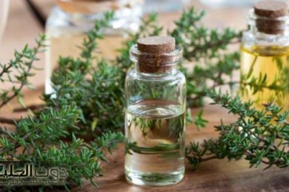 "مالوش مثيل"...يقوّي عضلة القلب وقد يعالج 100 مرض.. دكتور سموم يوضح فوائد الزعتر!!