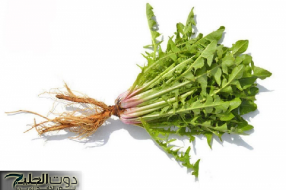 «ضاع عمرنا واحنا مش عارفين»..عشبة سحرية بنكهة تجدها فـي كل بيت.. تعالجك من الغازات والامساك والقولون في دقائق الحل الأمثل لفقرالدم!!