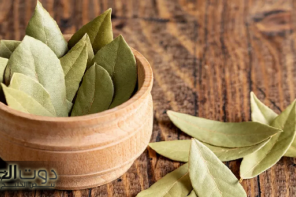 "وداعًا للكرش للأبد".. سر عبقري يخسسك 7 كيلو في يوم واحد من غير تعب ولا جيم مش هتصدق النتيجة... "وداعًا للسمنة ودهون البطن"!!