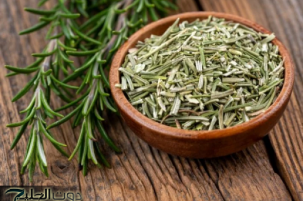 العشبة الربانية الجبارة التي أعادت الأمل والحياة للعجائز والمسنين!!..عشبة بسيطة مهملة موجودة في كل منزل دون أن تعلم الكنز العجيب والكبير الذي تحتويه!!