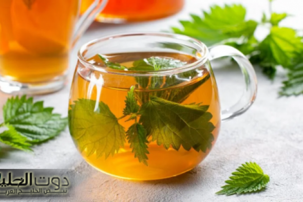 "خايفين منه وهو كنز”.. عشب مخيف يحتوي على فائدة سحرية جداً لكل داء وعلاج لكل معاناتك!