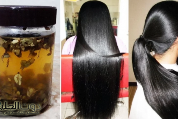 "جارتي الهندية قالتلي عليها".. وصفة سرية هتخلي شعرك يطول بسرعة ويملأ الفراغات.. جربي الوصفة دي وادعيلي