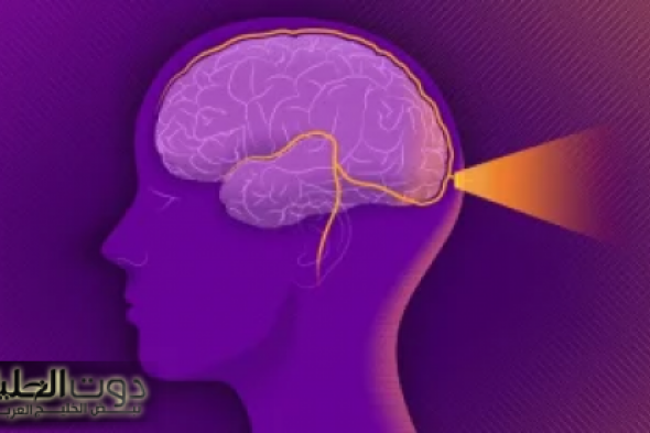 معجزة ربانية بكل المقاييس .. نبات طبيعي مهمل يغذي المخ يحسن بنية الدماغ يقوي الذاكرة أقوي علاج لضعف التركيز .. تعرف عليه ولا تهمله أبدا