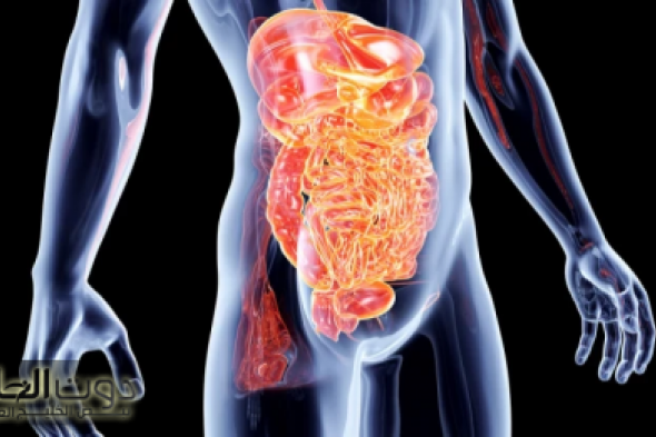 «هتتمنى لو تعرفو من زمان!»..كنز رباني ثمين موجود في كل بيت.. عشبة بسيطة تنظف القولون من "البراز المتحجر" في دقائق معدودة دون الحاجة للطبيب