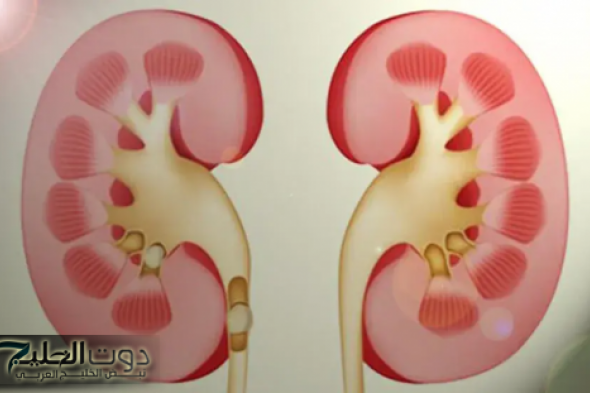 عشبة ربانية تفتت حصوات الكلى وتعالجها بدون ألم في أيام قليلة