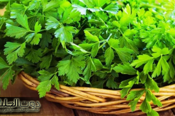 عشبة نزلت من السماء تفتت الحصوات وتضبط السكر التراكمي وتنظف الكبد من السموم وتعزز وظائف الكلى