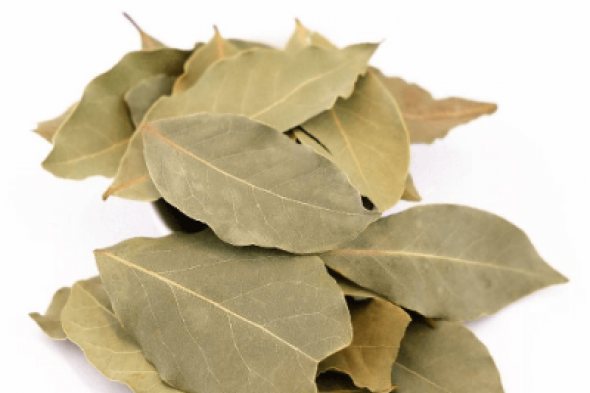 ’’عشبة ربانية نزلت من السماء’’...!! استخدموها بهذه الطريقة لمدة 3 أيام فقط وقولوا وداعًا للكرش ودهون البطن! مفعولها سحري!!