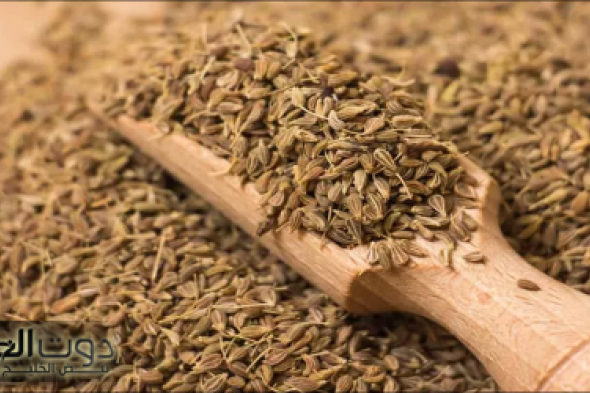 "مش هتجيب دوا للكحة تاني!"... عشبة المعجزة متوفرة في كل منزل تقضي على السعال والزكام بلحظات.. احرصوا عليها