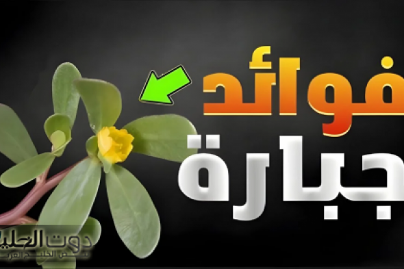 "اكتشاف عجيب أدهش الجميع"..نبتة من قديم الزمان في كل مكان محدش مقدر قيمتها الحقيقية... . تعزز من الكولاجين في البشرة!!