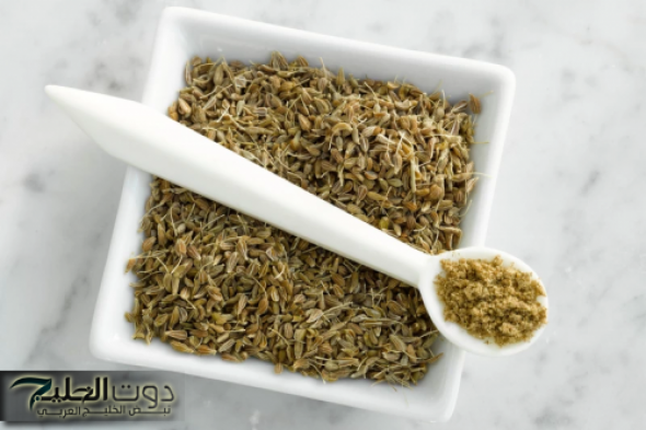 «عشبة فبيتك هتريحك من كل مشاكلك!!»..عشبة المعجزة متوفرة في كل منزل لاكنها مهملة تقضي على السعال والزكام بلحظات.. احرصوا عليها