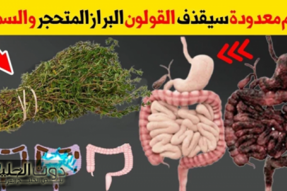 “هتبقا انسان جديد“.. شابة أردنية تكشف عن عشبة جبارة موجودة في كل مطبخ تنظف القولون في 5 دقائق وتعتبر الحل الأمثل للتخلص من البراز المتحجر!
