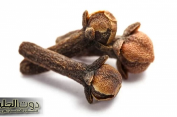 جوزك مش هيبص بره تاني… شابة حسناء سعودية وضعت القرنفل على هذه المنطقة من جسدها لمدة 3 أيام لن تصدقوا ماذا حدث لها…جربيها وهتدعيلي !!