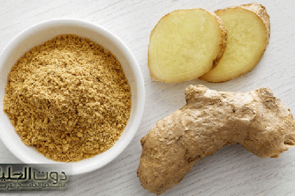 هتودع كرشك وهتنساه... معجزة ورق الغار للتخسيس هتخلي جسمك زي القلم!مش هتحتاجي للجيم تاني بعد الوصفة دي!