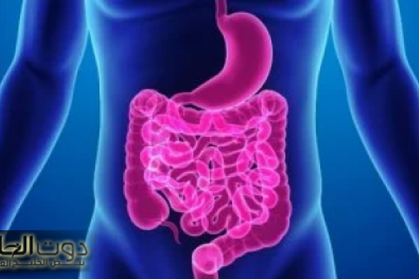 "وداعاً لوجع القولون".. أفضل الأعشاب الطبيعية للتخلص من البراز المتحجر في خمس دقايق..عشبة معجزة فوائدها خارقة!!