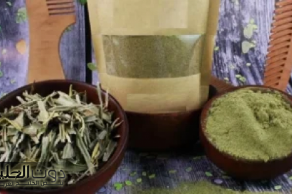 "عشبة جبارة تقضي على 40 مرض وتعزز الذاكرة والتركيز وتدافع عن السكر وتبعد الزهايمر.. أسرار ربانية تكشفها!!