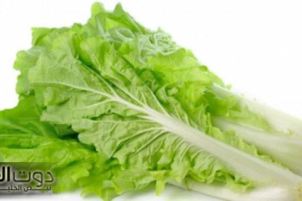 «معجزة ربانية!!».. عشبة متواجدة بكل بيت يهملها الكثير تنظف الكبد من السموم وتضبط الكولسترول وتعالجك من الزكام السعال في دقائق معدودة وتعتبر الحل الجذري روماتيزم