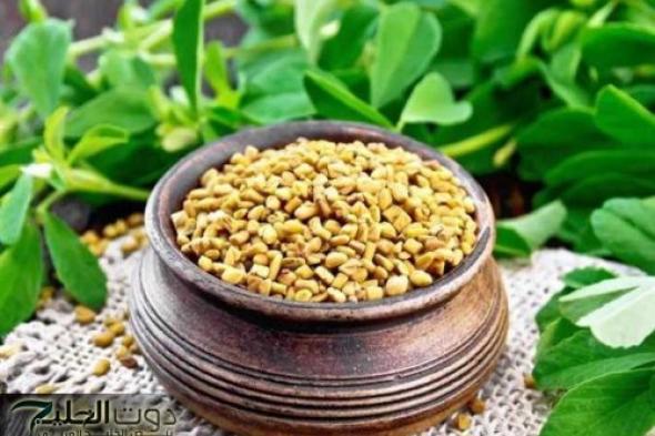 العشبة الربانية الجبارة؟!.. مفعولها أقوى من الأنسولين الحل النهائي لمرض السكري والكوليسترول نهائيا