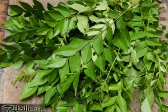 "هدية من الطبيعة".. عشبة معجزة تخفض السكر التراكمي وتتفوق على الأنسولين!