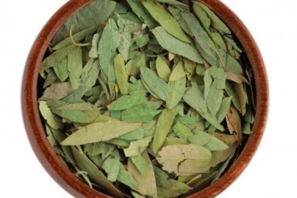 العشبة السحرية لتنظيف القولون .. هتخلصك من البراز المتحجر في ثواني.. مش هتحتاج تروح لدكتور تاني”