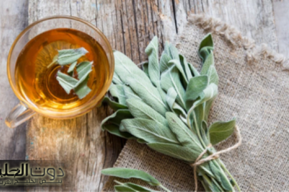 عشبة بسيطة هدية من الله لعباده: تخفض السكر في الدم خلال دقائق وتحفز إفراز الأنسولين.. متوفرة في كل مطبخ