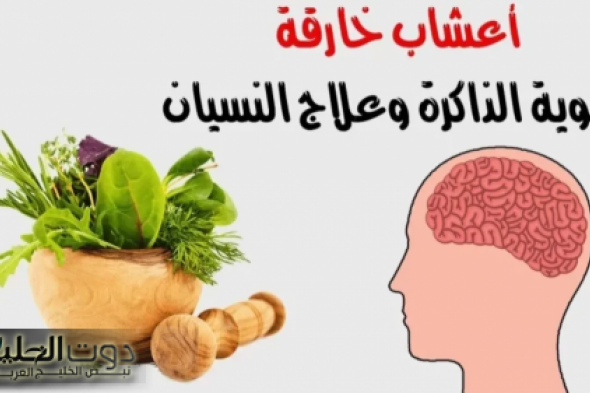 «فاكهة من الجنة!».. معجزة طبيعية مُهملة في الأسواق تقوي الذاكرة وتعيد شباب الدماغ!