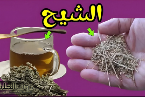 "ياريتني جربتها من زمان".. عشبة هتصحي فيك الامل من جديد.. كنز في هذه النبتة التي تحوي الكثير من الأسرار الاستثنائية