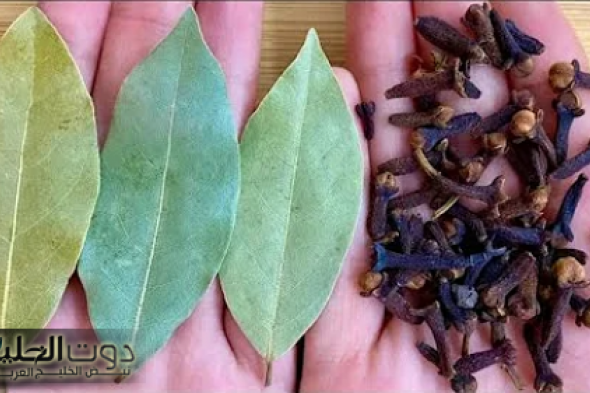 "دلعي جوزك يا مدام".. حطي القرنفل مع ورق الغار بهذه الطريقة لمدة 7 أيام على جسمك قبل النوم وهترجعي عروسة تاني!!.. ممنوع لغير المتزوجات !!