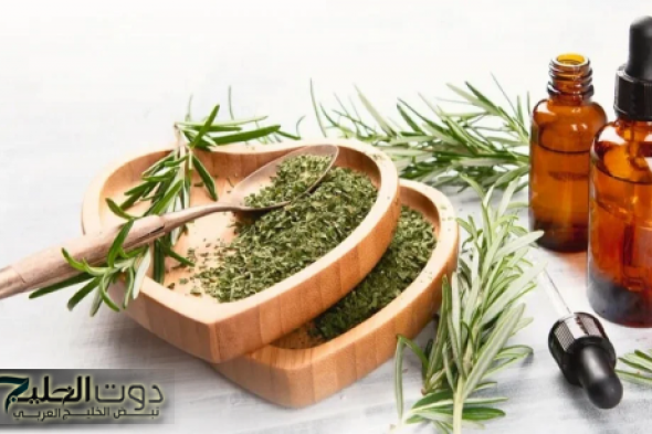 «هتبقي من العباقرة بسببها».. عشبة واحدة تقضي على النسيان والزهايمر وتنشط الذاكرة وتساعد على التركيز!! نتيجة مذهلة من أول استخدام