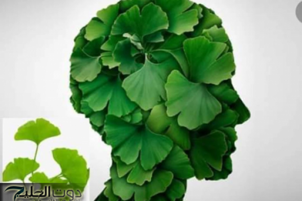 «معجزة المعجزات لعشبة سحرية مهملة».. مفعولها جبار تقوي الذاكرة وتعيدلك شبابك في لمح البصر مهما كان سنك