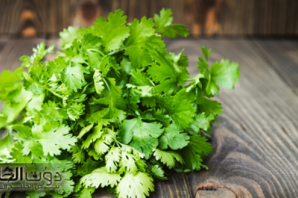 "يا ريتني كنت أعرف من زمان".. كانت حياتي هتتغير.. وداعًا للسكري وحصى الكلى عشبة سماوية هتشفي كل ده!