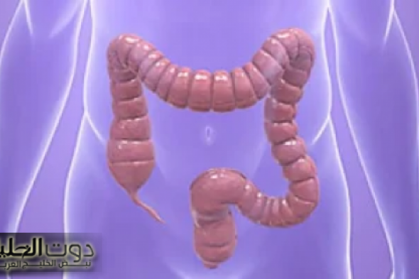 قولونك هينضف للابد... أفضل عشبة سحرية برخص التراب هتنضف القولون تماما وهتخلصك من البراز المتحجر في ثواني.. دكتور ابن حلال قالي عليها