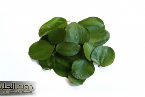 "فيها سر غامض مش هتستوعبه أبدًا"..عشبة عجيبة تشرح القلب من مفعولها اللي هيعملك ذهول ودهشة!!