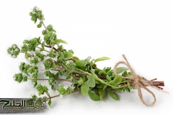 قاهر البراز المتحجر!!..شابة أردنية تكشف عن عشبة جبارة موجودة في كل مطبخ تنظف القولون في 5 دقائق وتعتبر الحل الأمثل للتخلص من البراز المتحجر!