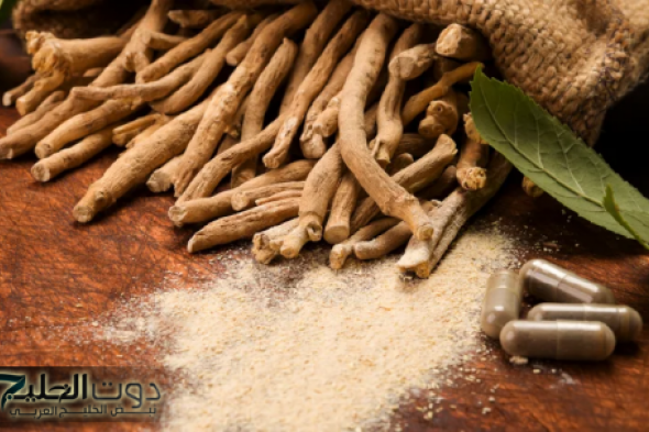 عشبة الأشواجندا: فوائد صحية مذهلة للذاكرة، الدماغ، والوقاية من الزهايمر والسرطان