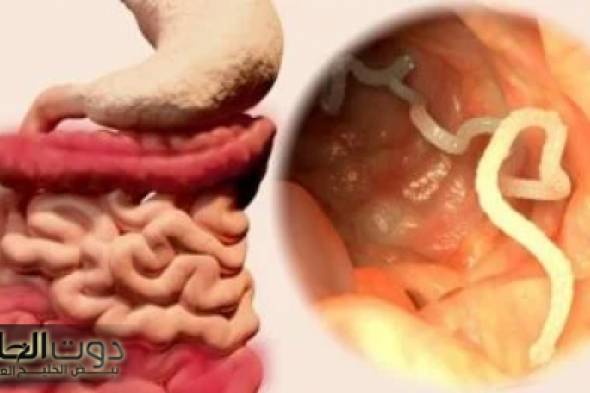 الدودة الشريطية: الخطر الخفي في طعامك