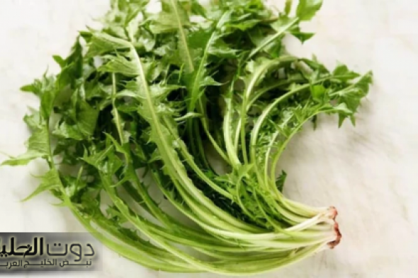 الخس البري.. العشبة الطبيعية التي تعزز الصحة وتدعم جهاز المناعة