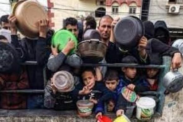 أخبار اليمن : الصليب الأحمر: الأوضاع في غزة بلغت نقطة الانهيار التام