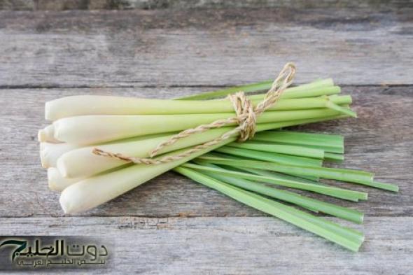 عشبة خضراء ذات رائحة عطرة قوية وبسعر التراب تصنع معجزات..تخفض سكر الدم بسرعة كبيرة وتنقي الجسم من السموم!!