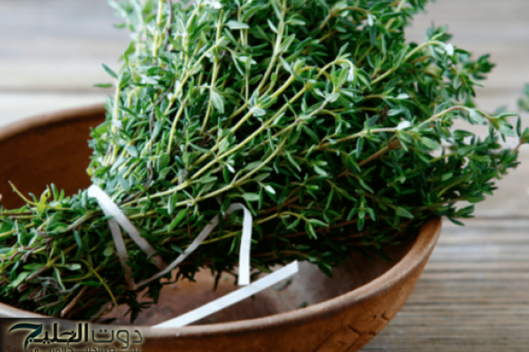 «اعشاب هتخليك تقفل الإمتحان»... تعرف على اشهر الوصفات الطبيه لعلاج الزهايمر وضعف الذاكره حتى بعد سن 70