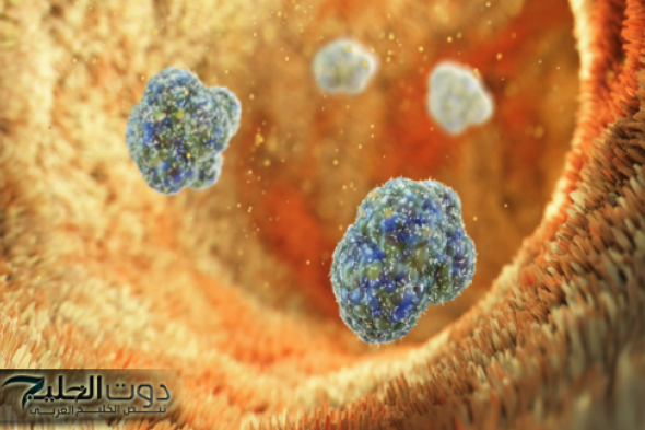 خبر سار .. اكتشاف قد يحدث ثورة بالوقاية من السمنة