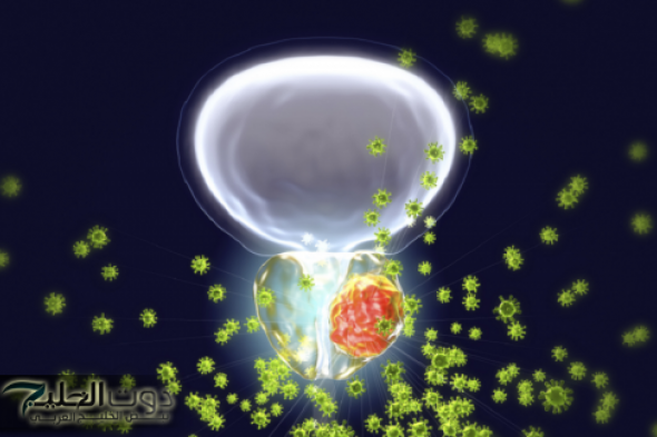 تلوث الهواء يزيد خطر الإصابة بسرطان البروستات بنسبة 6.9%