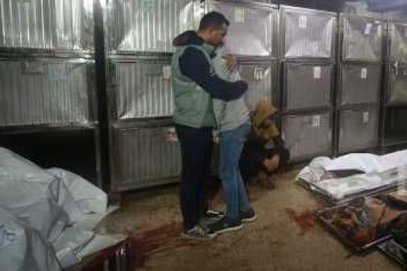 أخبار اليمن : ارتفاع عدد شهداء غزة إلى 71,795