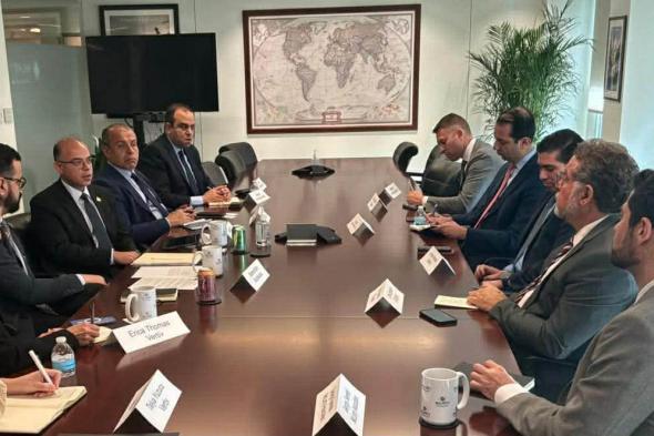 د.فريد: 5 شركات أمريكية في قطاعات التكنولوجيا المتقدمة والطاقة تبدي اهتمامًا بالاستثمار في مصر