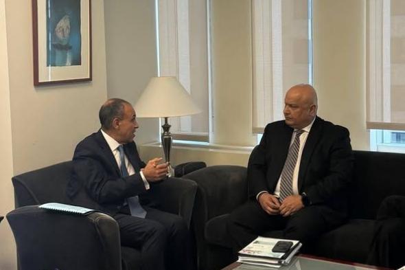 وزير الخارجية: ندعم الحلول التوافقية ونرفض الإجراءات الأحادية في حوض النيل