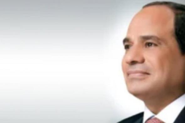 الرئيس السيسي يستقبل سكرتير عام منظمة الطيران المدني الدولي